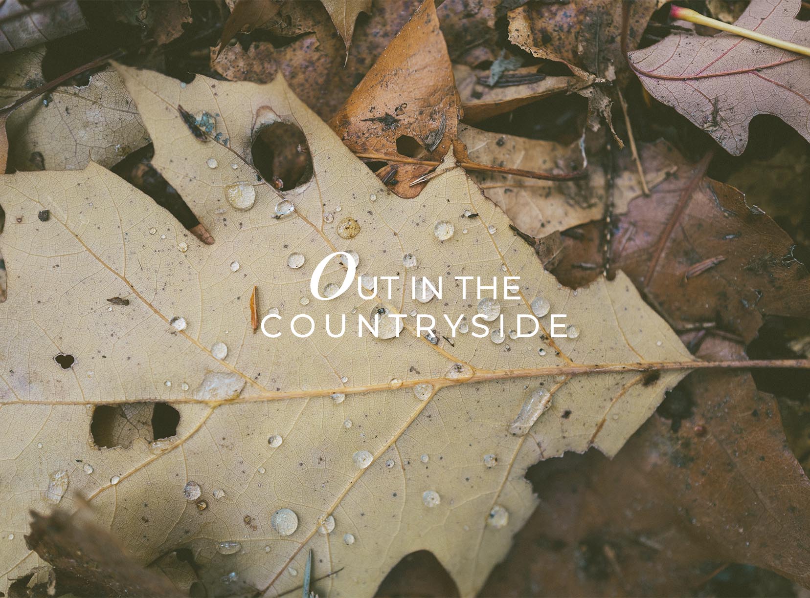 OUT IN THE COUNTRYSIDE AW '20