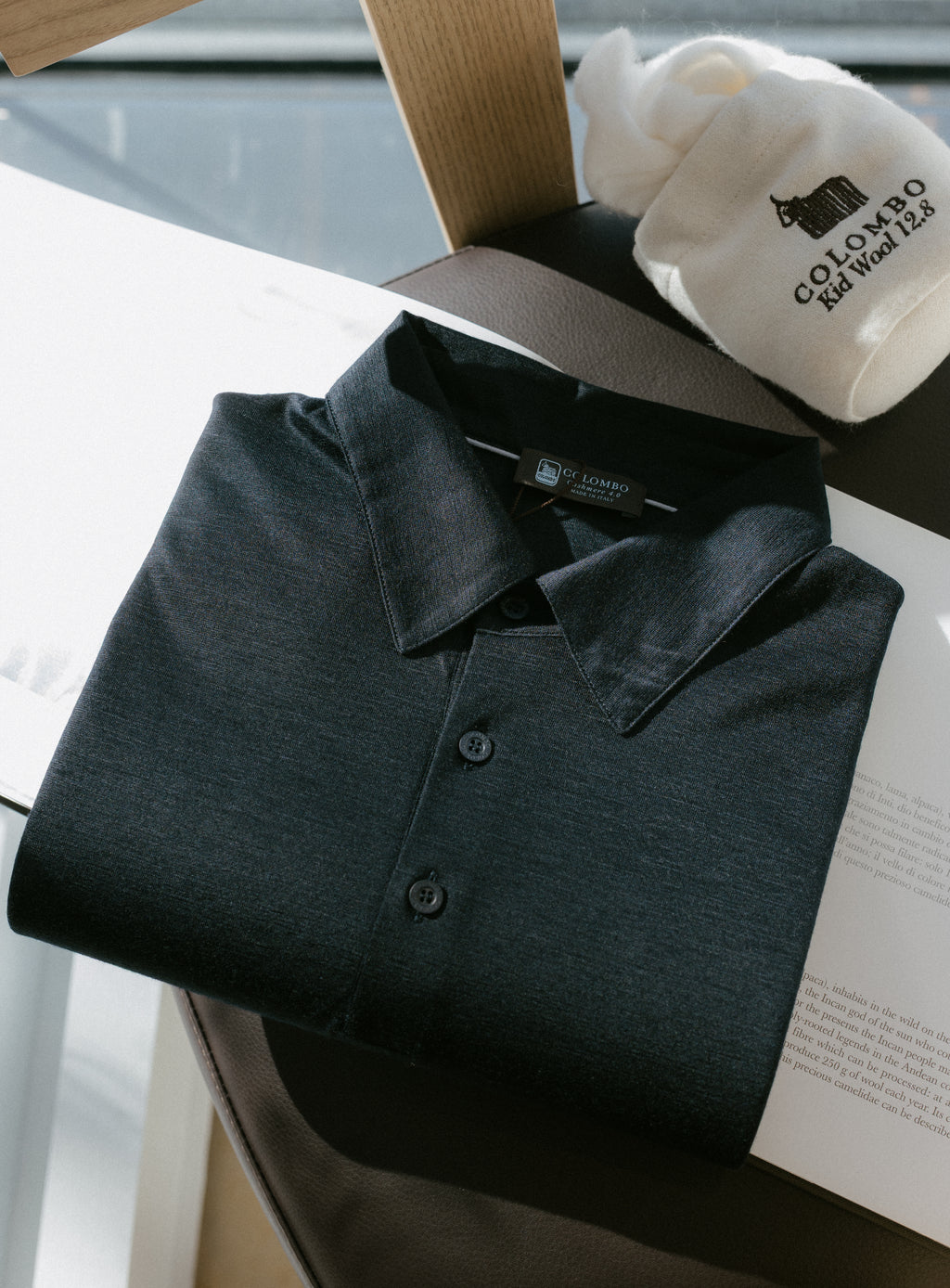 Short Sleeve Polo in Cashmere 4.0