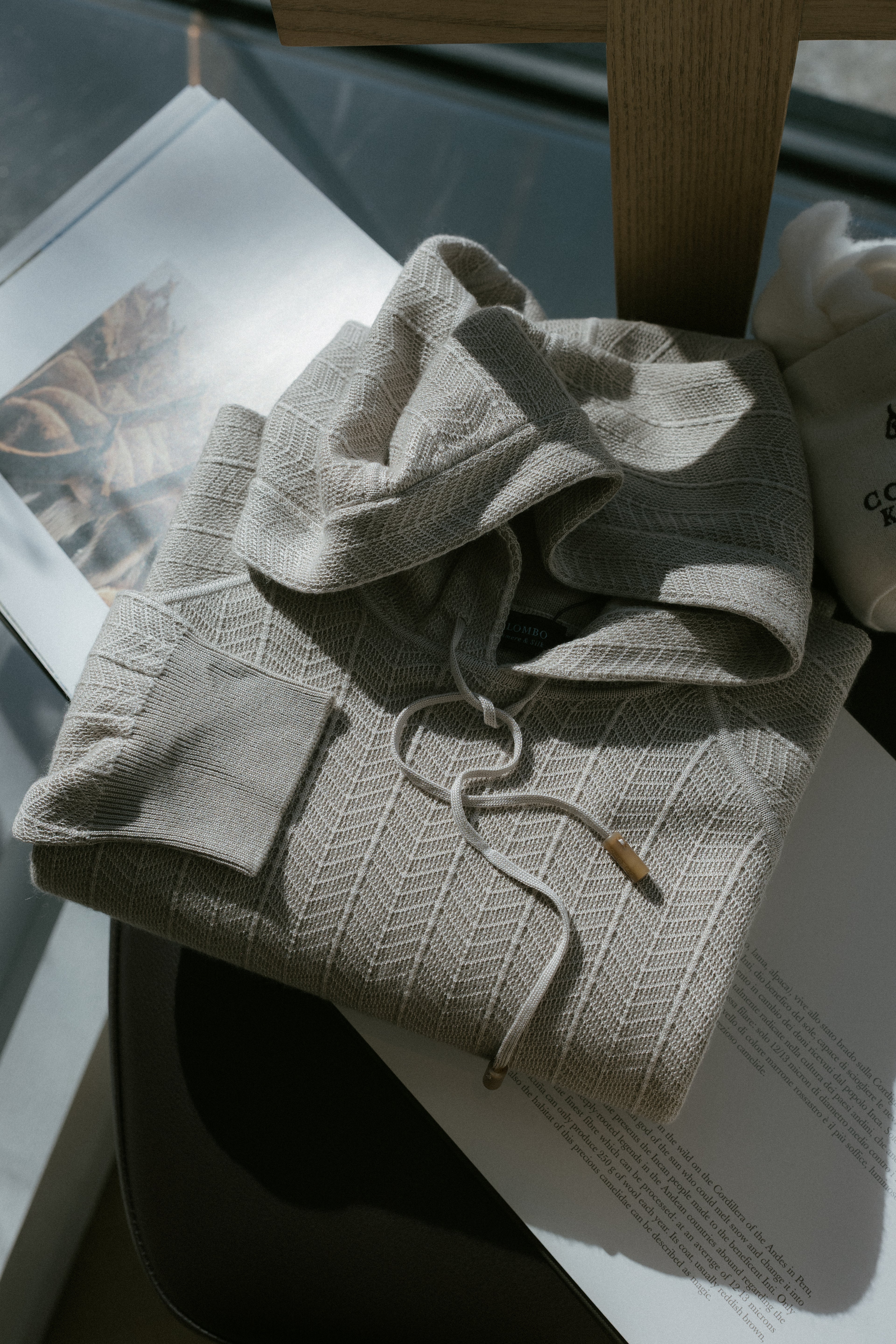 Hooded Sweatshirt in Cash/Silk