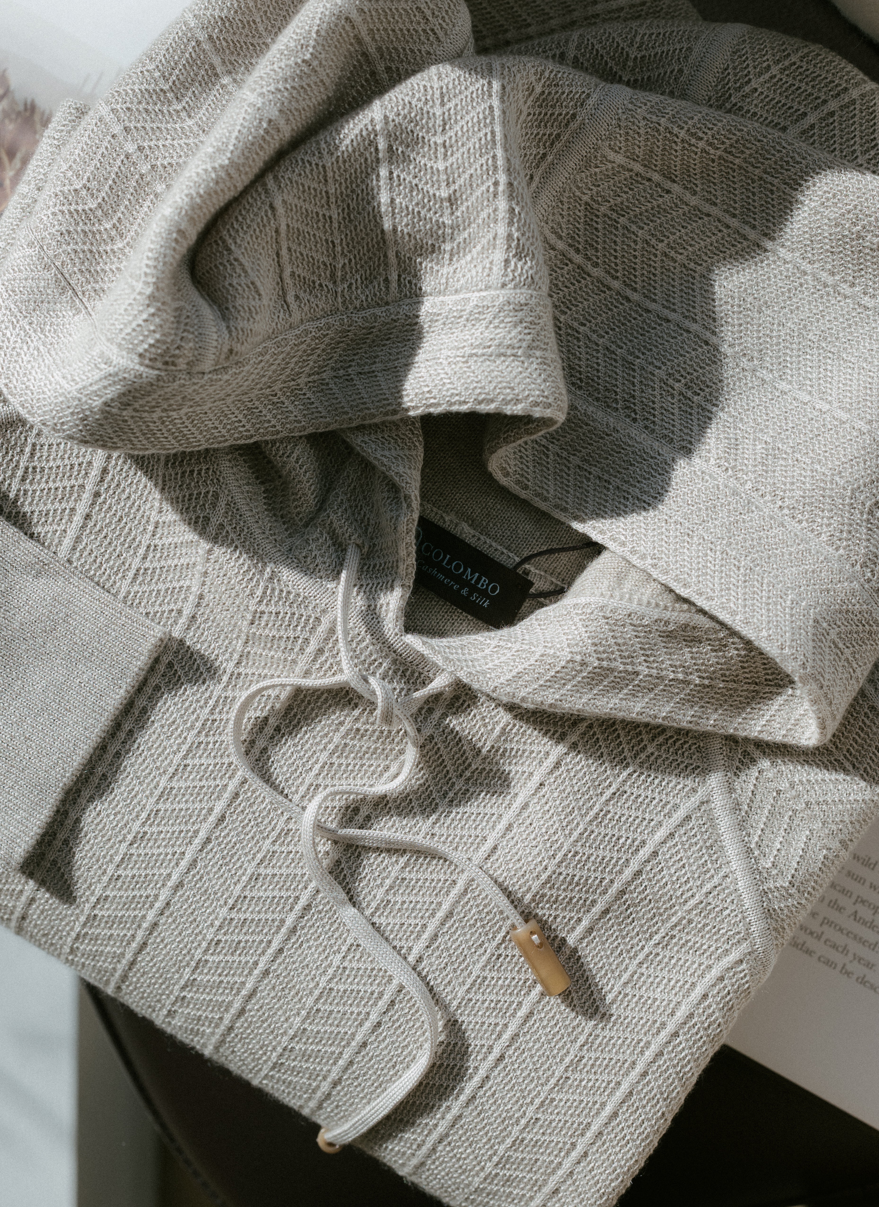 Hooded Sweatshirt in Cash/Silk