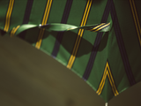 Handcrafted Calfskin Umbrella - Green Stripe